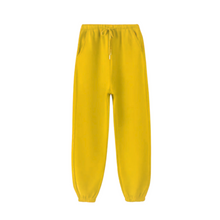 Load image into Gallery viewer, Winter Warm Leggings
