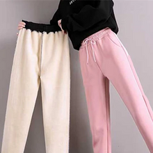 Load image into Gallery viewer, Winter Warm Leggings
